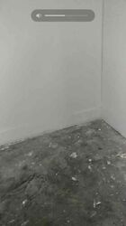 Imm Building (D22), Factory #628585951